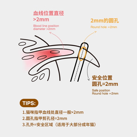 Japanese MUJU cat nail clipper round hole nail clipper for beginners, pet nail clipper, anti-splash, special for pets, knotting and grooming set, brown bear + large size