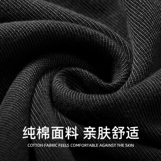 Haixing Black Casual Long Sleeve T-Shirt Men's Pure Cotton Breathable Spring and Autumn Solid Color Inner Bottoming Shirt Top Cotton Henry Shirt Black 2XL