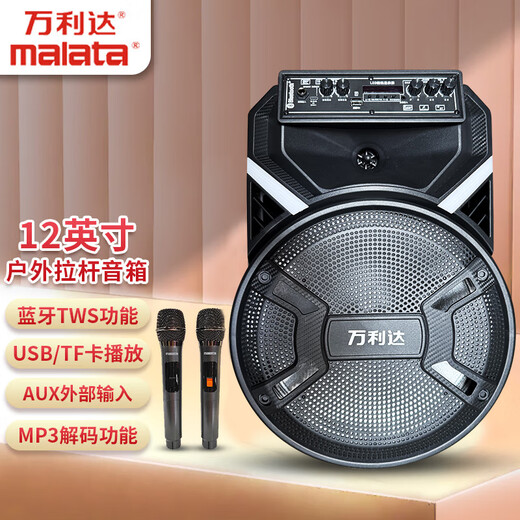Malata (Malata) M+9401 outdoor performance trolley speaker electric acoustic guitar folk singing instrument speaker square dance street audio 12-inch dual microphone