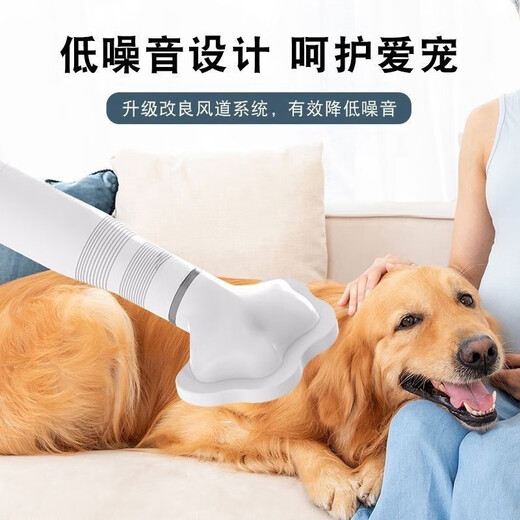 Pet hair dryer, all-in-one quick-drying Bichon Teddy fluffy comb, cat and dog bathing and blow-drying tool, dry + double