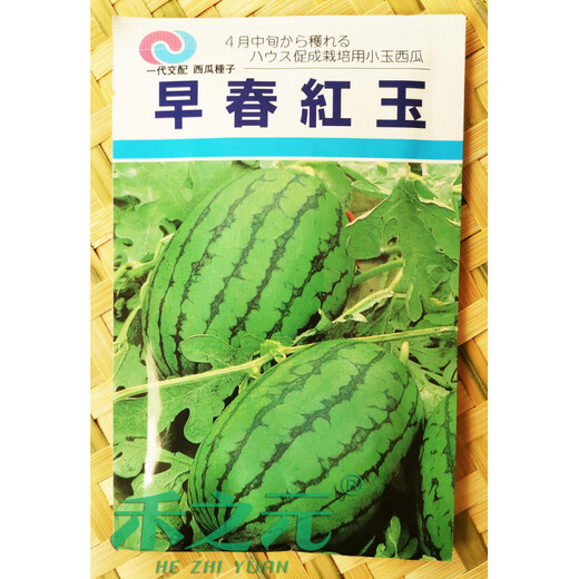 Early spring ruby watermelon seeds Japanese fruit seeds sown in four seasons super sweet small watermelon seeds spring early spring ruby 200 original (produced in Xinjiang)