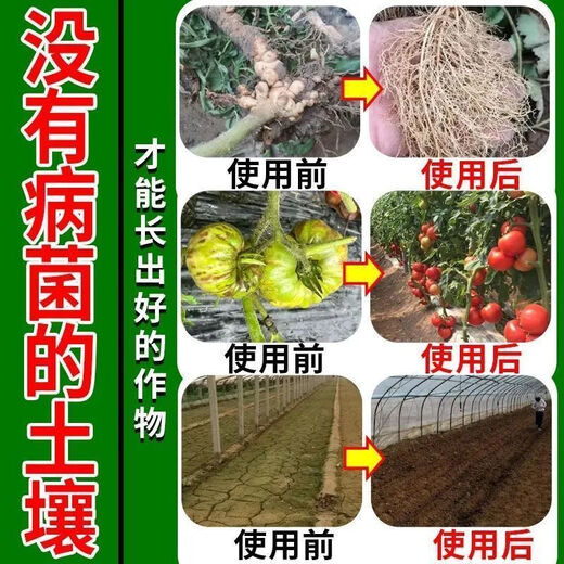 Soil-borne disease bactericide, agricultural soil fungicide, anti-repeat root rot, dead seedlings and root rot, 5 packs 500g*5
