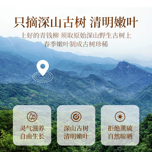 Чай Gongyuan Qingqianliu, 260 г, специальный сорт Qianqianliu Leaf Mountain, старое дерево, молодые листья, полезный чай для родителей