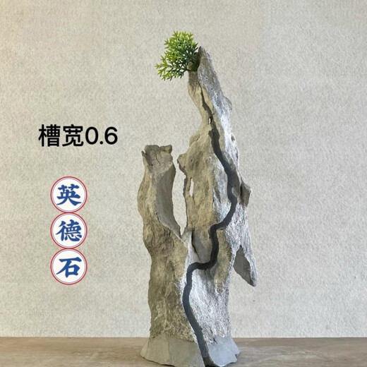 The raw stone is slotted and attached to the stone bonsai, which can be attached with elm, golden bean, fish tank, rockery, garden landscaping stone 13-17cm (slotted model will be shipped randomly)