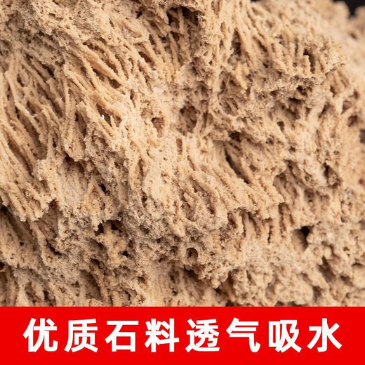 Absorbent stone flower pot, natural strange stone, absorbent stone, water-absorbing stone, raw stone stone pot, calamus succulent potted plant, bonsai micro-scape, 13-17cm stone pot + round bottom + grass seeds