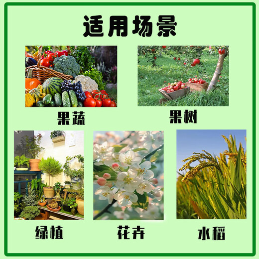 Special compound fertilizer for vegetables. Comprehensive nutrients for growing vegetables. Leaves are bright green, strong roots, strong seedlings, cucumbers and peppers. Special fertilizer for vegetables. 3Jin Jin is equal to 0.5kg.