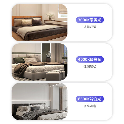 Philips (PHILIPS) ceiling lamp wick LED lamp panel lamp panel modification module wick 25W white light (6500K) diameter 217.5mm