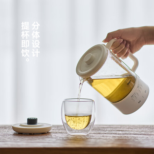 Olayks instant pure titanium health pot steam tea boiler spray steam tea pot mini multifunctional tea pot office one person health pot