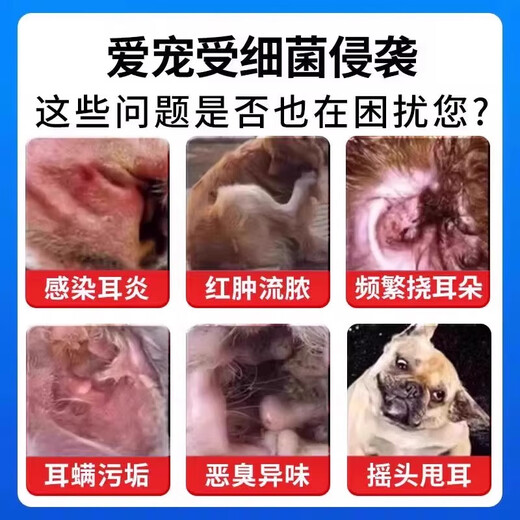 Ear mite ear drops for cats and dogs, ear drops for anti-inflammation and itching to remove ear mites, Bayer Yersu, a box of otitis media medicine for removing mites, bacteria and fungi.