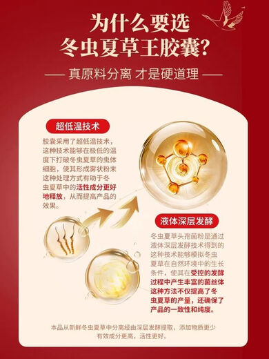 Beijing Tongrentang Cordyceps Capsules tonify kidneys and strengthen yang and regulate immunity Shoushibao Yuan Cordyceps Capsules Mycelium Tongrentang Cordyceps King Capsules [60 capsules/box]