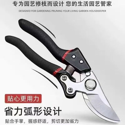 FANCYCHIC German craftsmanship imported steel branch shears tree shears fruit tree shears pruning scissors household flowers and grapes pruning branches German imported steel blades (national rapid) original German (thick branch shears) super fast + strength