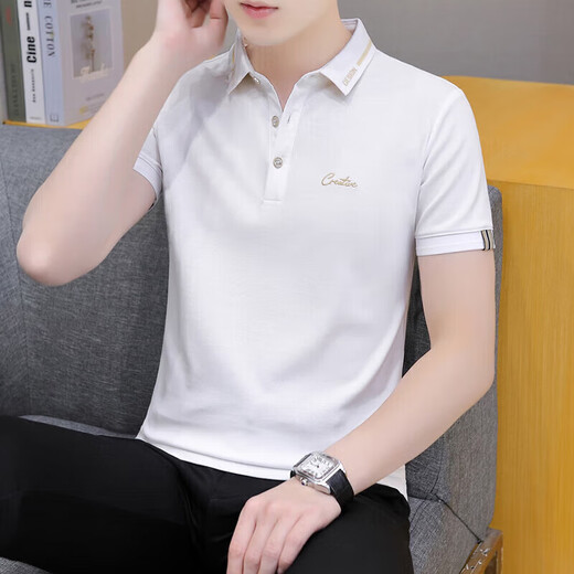 Hailan Home a un t-shirt à manches courtes à col à col courte pour l'été pour hommes à la mode à la mode à la mode de glace à moitié à manches à manches à manches simples Polo QY686 White 4xl [180-195Jin [Jin est égal à 0,5 kg]]]