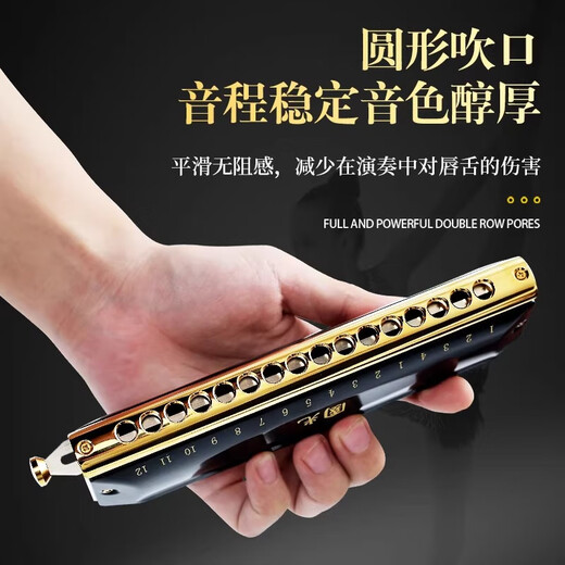Guoguang chromatic harmonica 10 holes 12 holes 16 holes imported gongs for beginners students entry-level musical instruments for adults professional playing 12 holes chromatic scale black + video teaching