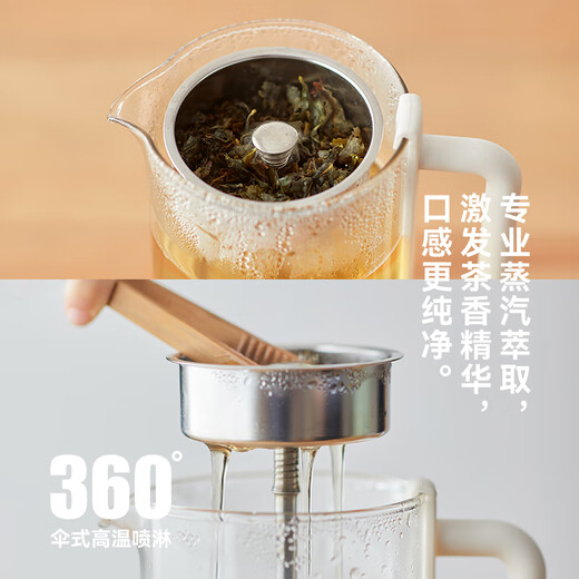 Olayks instant pure titanium health pot steam tea boiler spray steam tea pot mini multifunctional tea pot office one person health pot