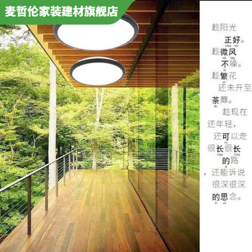 Vinoa LED-Küchenlampe, Badezimmerlampe, wasserdichte Deckenlampe, Badezimmer-WC-Lampe, Anti-Mücken-Balkon, Gang, Flurlampe, Zuhause und weißer Rand, 20 cm, 12 Watt weißes Licht