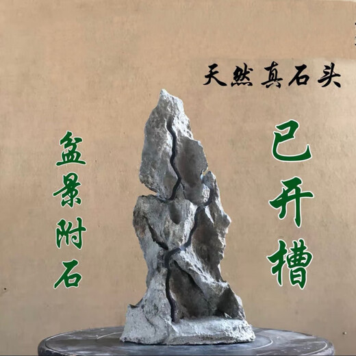The raw stone is slotted and attached to the stone bonsai, which can be attached with elm, golden bean, fish tank, rockery, garden landscaping stone 13-17cm (slotted model will be shipped randomly)