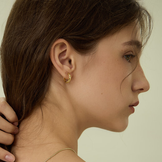 Arsis freely matches snake bone small earrings, female fashion simple earrings, versatile earrings as a gift for your girlfriend, snake bone small earrings - gold