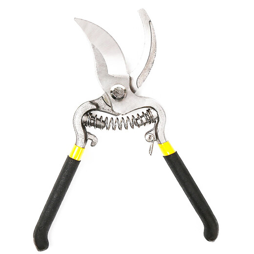Reliance on the forest pruning scissors thickened household garden grafting shears manual resin shears garden pruning pliers 8-inch fruit branch shears fruit branch shears