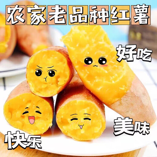Freshly dug sandy sweet potato, fresh farm sweet potato, roasted sweet potato, soft and waxy, wholesale yellow heart, sandy sweet potato 2Jin Jin equal to 0.5kg, small and medium-sized fruits, box included