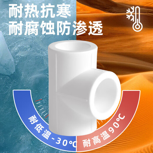 Golden Horn Taurus PPR water pipe accessories 4 minutes 20 hot melt tee tap water pipe joint connector white 5 pieces