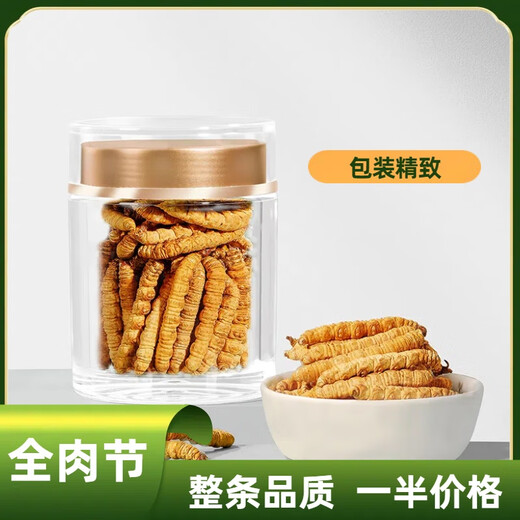 冬虫夏草全肉断草甄选断虫草整肉节虫草大断草性价比高补品营养品 西藏那曲精品整肉条 100克送10克