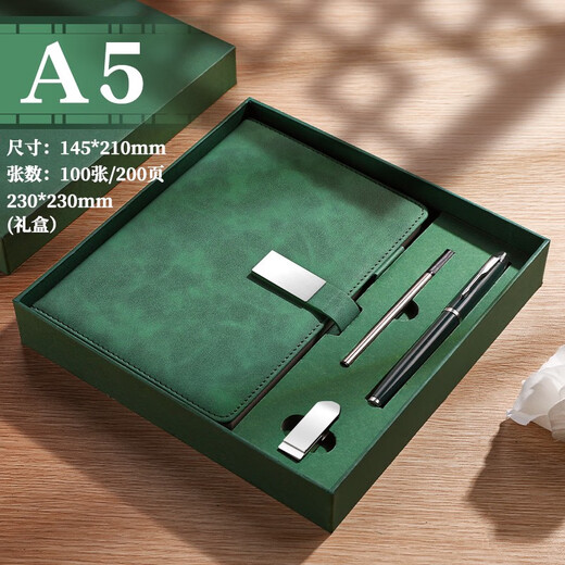 溥畔高颜值2024年新款商务定制笔记本礼盒套装可印logo会议记录本u盘 12026-绿色U盘款礼盒
