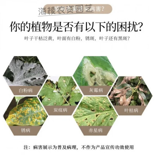 Carbendazim plant nutrient solution black spot leaf spot disease succulent yellow leaf orchid flower chlorothalonil agent carbendazim 900g/bag strong