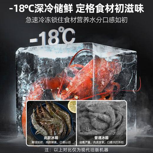 HYUNDAI Korean modern refrigerator large capacity first-class energy efficiency French white four-door cross-door multi-door ultra-thin micro-embedded energy-saving frequency conversion and power-saving 301 liters French white first-class fixed frequency 53 cm ultra-thin embedded