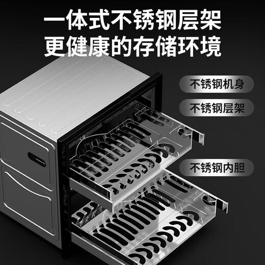 Rongsheng disinfection cabinet household embedded large-capacity kitchen disinfection cupboard tableware disinfection 110L two-star RX02K (A)