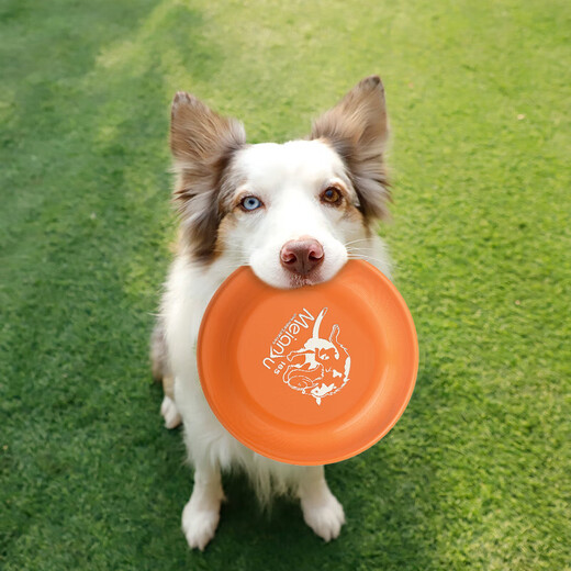 Zhenyou Pet Dog Toy Dog Training Frisbee Border Shepherd Golden Retriever Interactive Boredom Relief Outdoor Training Pet Supplies 18cm