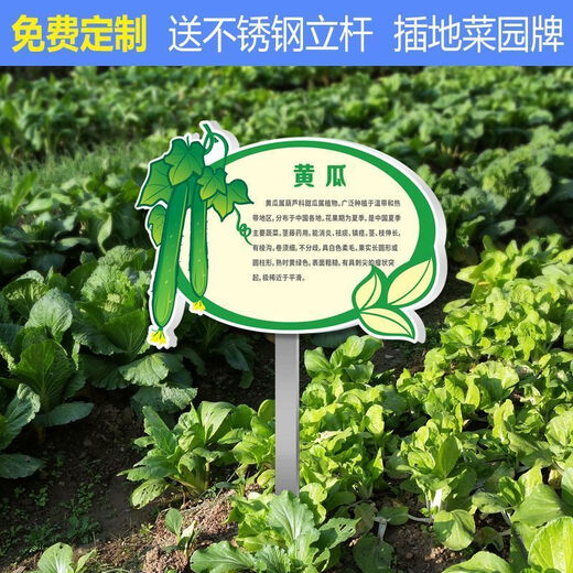 Introduction to Vinoya vegetables, vegetable garden vegetable patch, vegetable signage, vegetable variety display board, introduction to vegetables and fruits, 20x30cm (smaller size) 01 type + free stainless steel pole and screws
