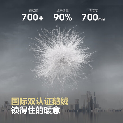 Bosideng 25-year-old goose down jacket for women autumn and winter thin lapel loose short business commute versatile jacket