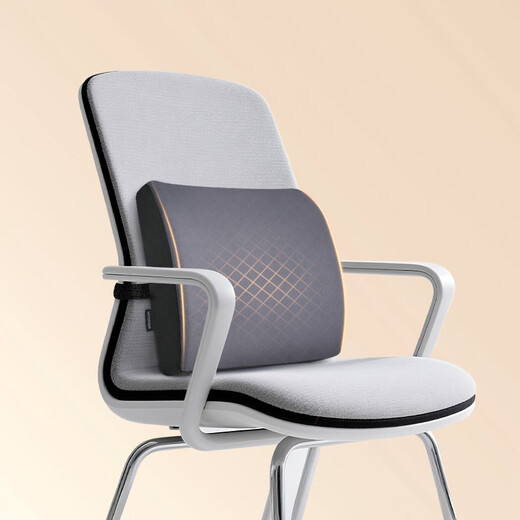 Wise Nation waist support lumbar pillow office waist support sedentary artifact lumbar support lumbar pad lumbar cushion car seat cushion back cushion