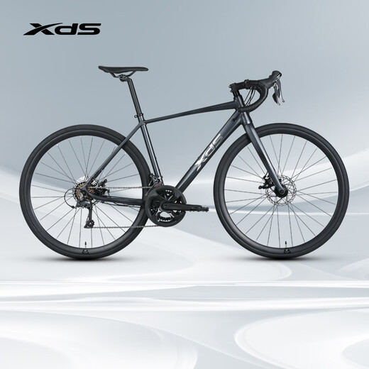 Xds road bike 2025 RC300 disc brake cable routing frame 16-speed gray black 480MM