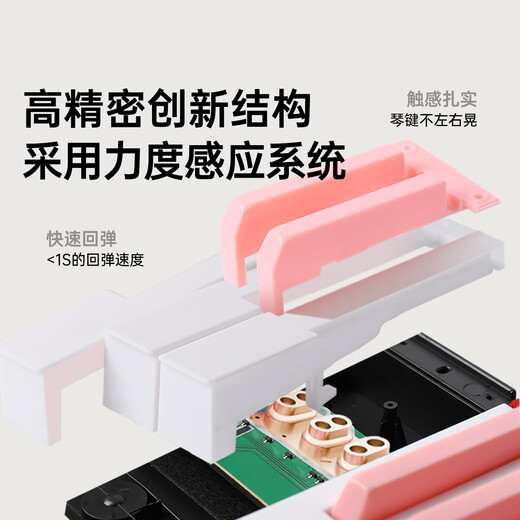 贝多辰（Beethostar）电钢琴88键力度键电子钢琴便携成人儿童幼师演奏演出专业琴 88键标准版 官方标配