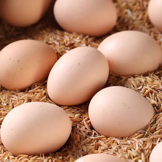 Authentic farmhouse free-range fresh-picked newborn eggs, cereal eggs 40g, breakfast, whole box, 30 pieces Authentic farmhouse free-range fresh-picked newborn eggs, cereal eggs 40g, breakfast, whole box, 30 pieces
