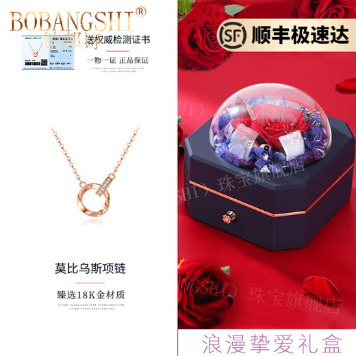BOBANGSHI Möbius Ring Necklace for Women 2025 New 18K Color Gold Pendant High-Quality Valentine's Day Birthday Gift for Women 18K Gold Necklace + Real Diamonds Eternal Flower Gift Box
