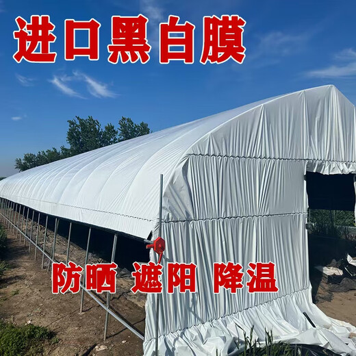 Greenhouse plastic film, non-drip film, agricultural greenhouse film, PO film, vegetable planting, anti-fog, high light transmittance, anti-aging, longevity film, blue film 10S imported longevity film, thickened, 2m wide, how many meters long, take a few pieces, send the whole picture