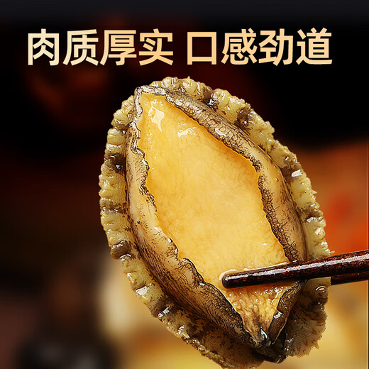 Dongshang Yupin Shandong processing-free abalone pure meat net weight 500g hot pot barbecue ingredients fresh seafood-direct from the source