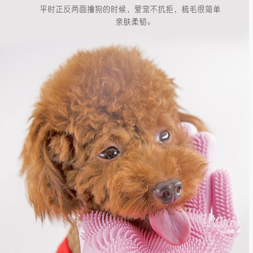 Pet dog cat bathing gloves extended bathing artifact comb cat teddy bear brush supplies green 1 pair 1 piece