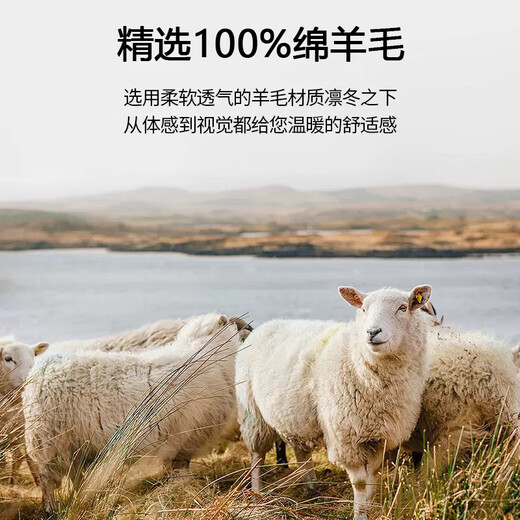 Calznklien pure wool scarf men's winter thickened warm scarf Japanese life year New Year gift for boys to send to their elders camel gray red high-end gift box