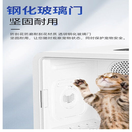 Caja de secado inteligente para mascotas, secador automático para gatos, secador de pelo para baño de perros, caja de secado para mascotas de 82L, modelo estándar