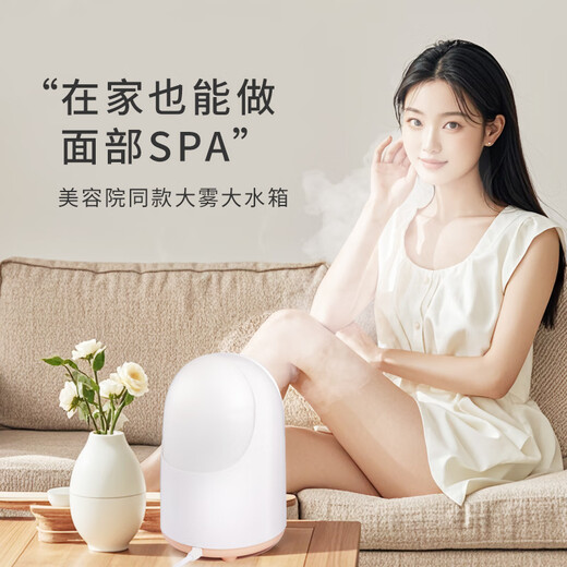 MF facial steamer, hot spray facial steamer, nano spray hydration instrument, oxygen injection instrument, facial hydration humidifier, hydration artifact, facial steamer, household steam machine, steam hot compress beauty instrument 902 white
