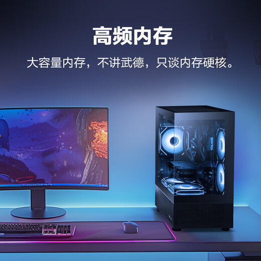 Ningmei AMD Ryzen5 9600X/RTX5060/16G/1T Game Assembly Computer Host Video Editing Rendering Desktop UPC