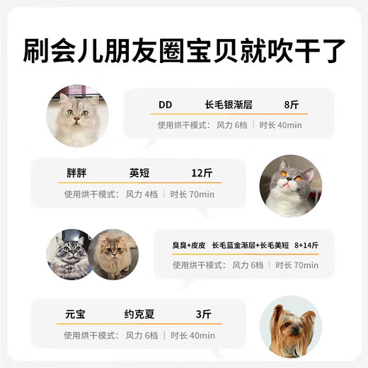 Xiaopei smart pet drying box MAX white pet fully automatic hair dryer cat and dog bathing artifact Xiaopei smart pet drying box MAX white pet fully automatic hair dryer cat and dog bathing artifact