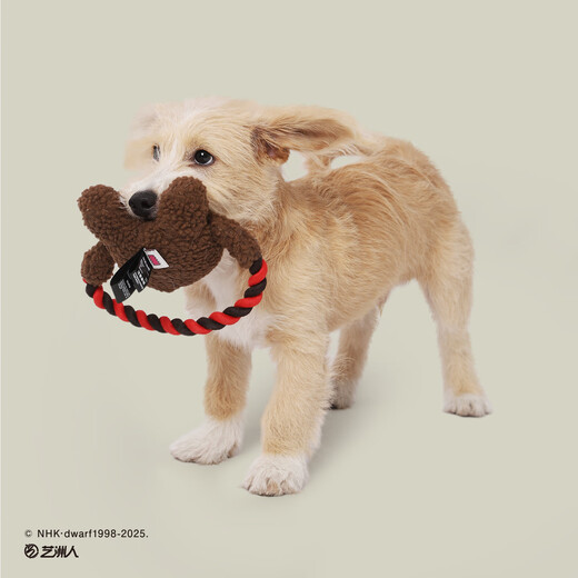 Huayuan Pet Tools (hoopet) Tamajun co-branded puppy self-pleasure relief molar tug-of-war wear-resistant bite-resistant rope knot interactive sound toy