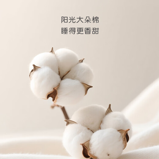 Luolaikids Autumn Whispers Infant Category A Children's Cotton 40 Count Printed Quilt Cover (Antibacterial) 150 215cm