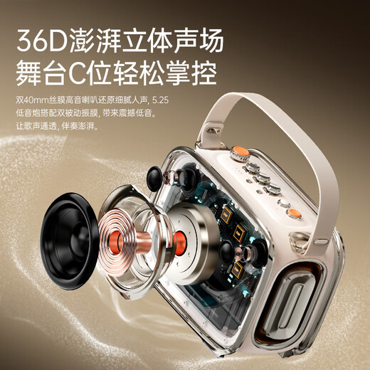 Divoom Oriental Qingluan playing and singing speaker Bluetooth home guitar instrument audio microphone outdoor K song square dance performance portable audio portable audio amplifier