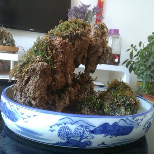 Absorbent stone raw stone wool on water stone natural rockery bonsai rockery stone landscaping stone micro landscape ornaments with stone absorbent stone powder 5Jin Jin is equal to 0.5 kg