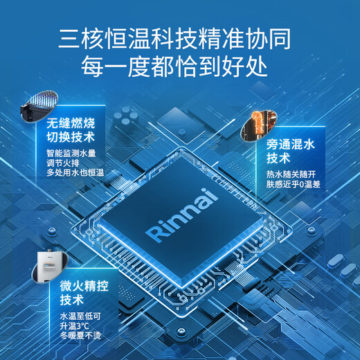 Rinnai Master Series Household 16-liter Gas Water Heater Triple-Core Constant Temperature Technology Natural Gas Water Heater National Subsidy 15% 16GD35 (JSQ31-GD35)